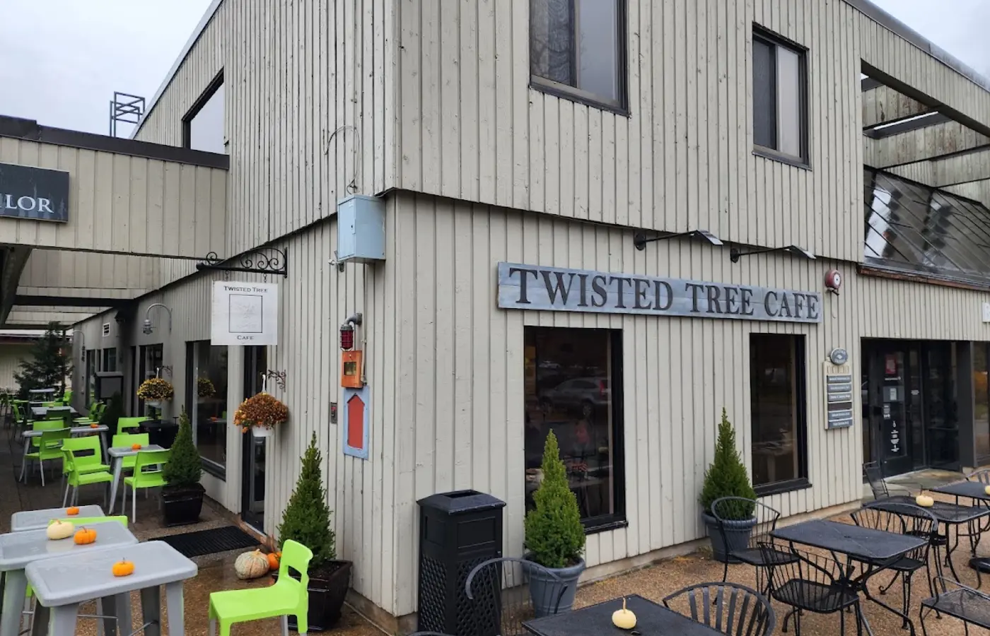 Twisted Tree Cafe cover